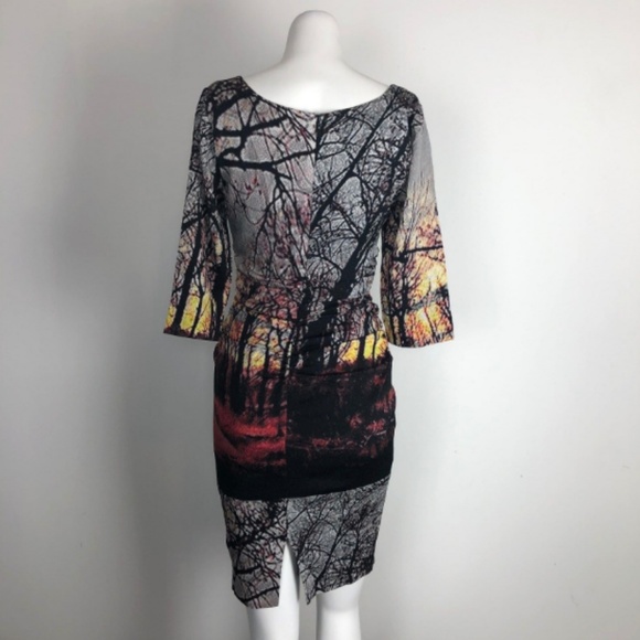 Tracy Reese Winter Landscape Dress Silk 3/4 Slv - Picture 5 of 5